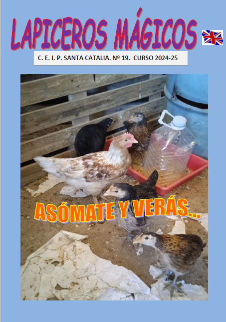 Revista 24 25 